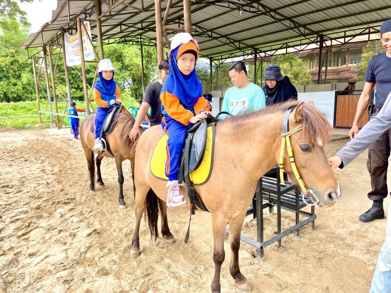 Murid TK B Bintang Cendekia Ikuti Outbound di Wisata Kuda De Queen Stable