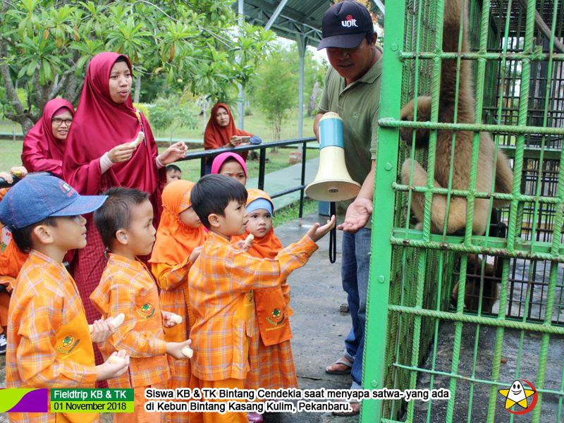 Belajar Nyata Mengenal Ragam Hewan Ciptaan Allah